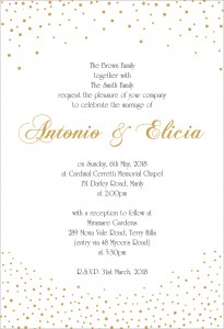 ANTONIO & ELICIA LUXE INVITATION